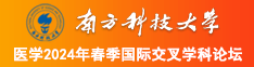 一穴两棒南方科技大学医学2024年春季国际交叉学科论坛